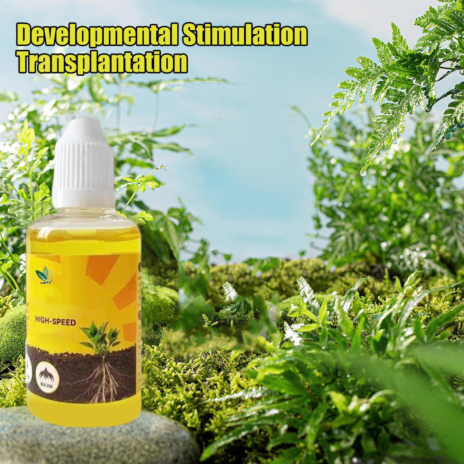 Root Stimulator Liquid - 50ml Plant Rooting Stimulator Liquid Plant