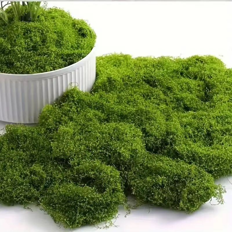 Sphagnum Moss Dry - Lifelike Evergreen Artificial Moss: Ideal for