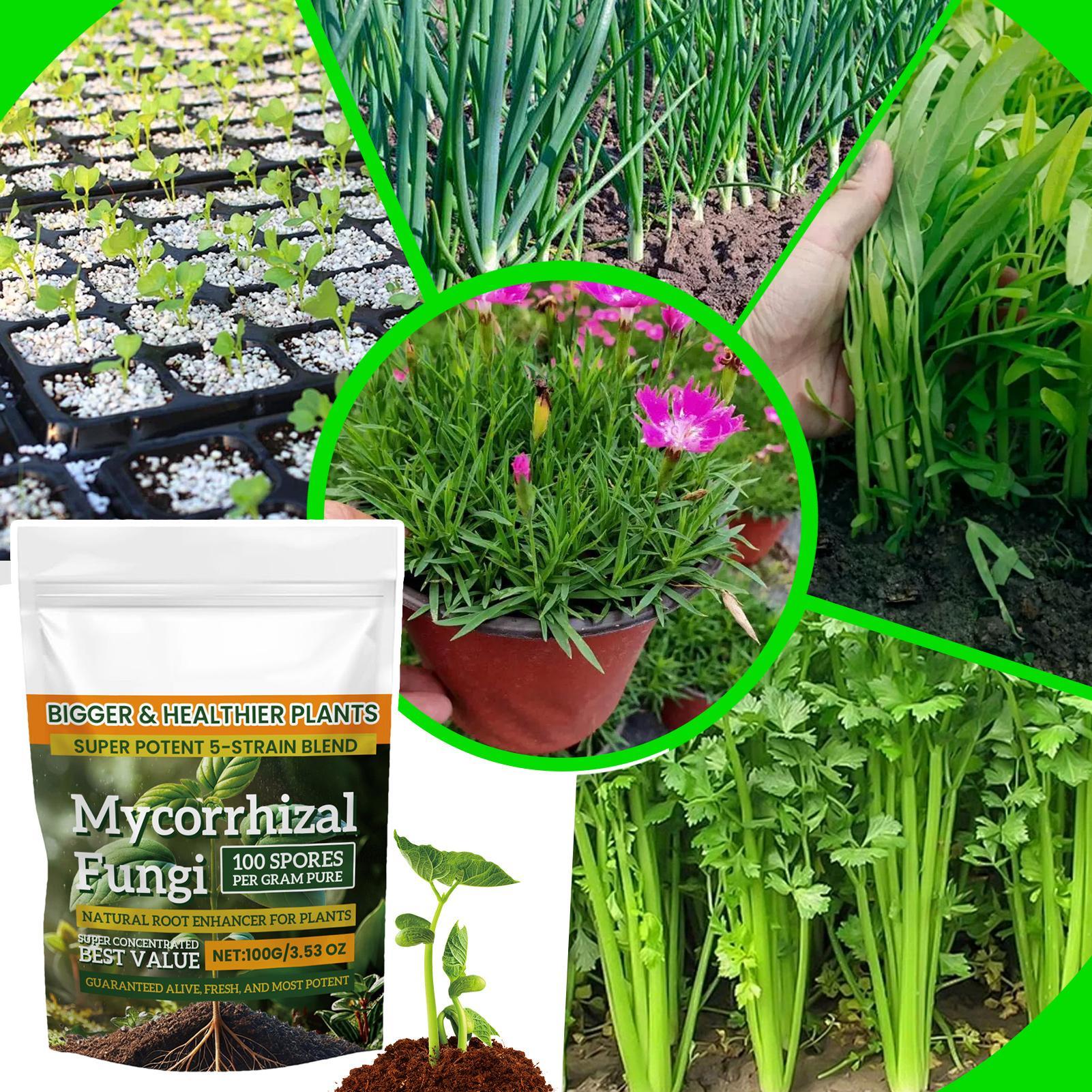 Rooting Hormone Powder - Plant Growth Enhancer Powder 100g Plant