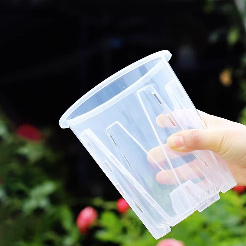 Self Watering Insert - 12cm for orchid Plant grow Pot