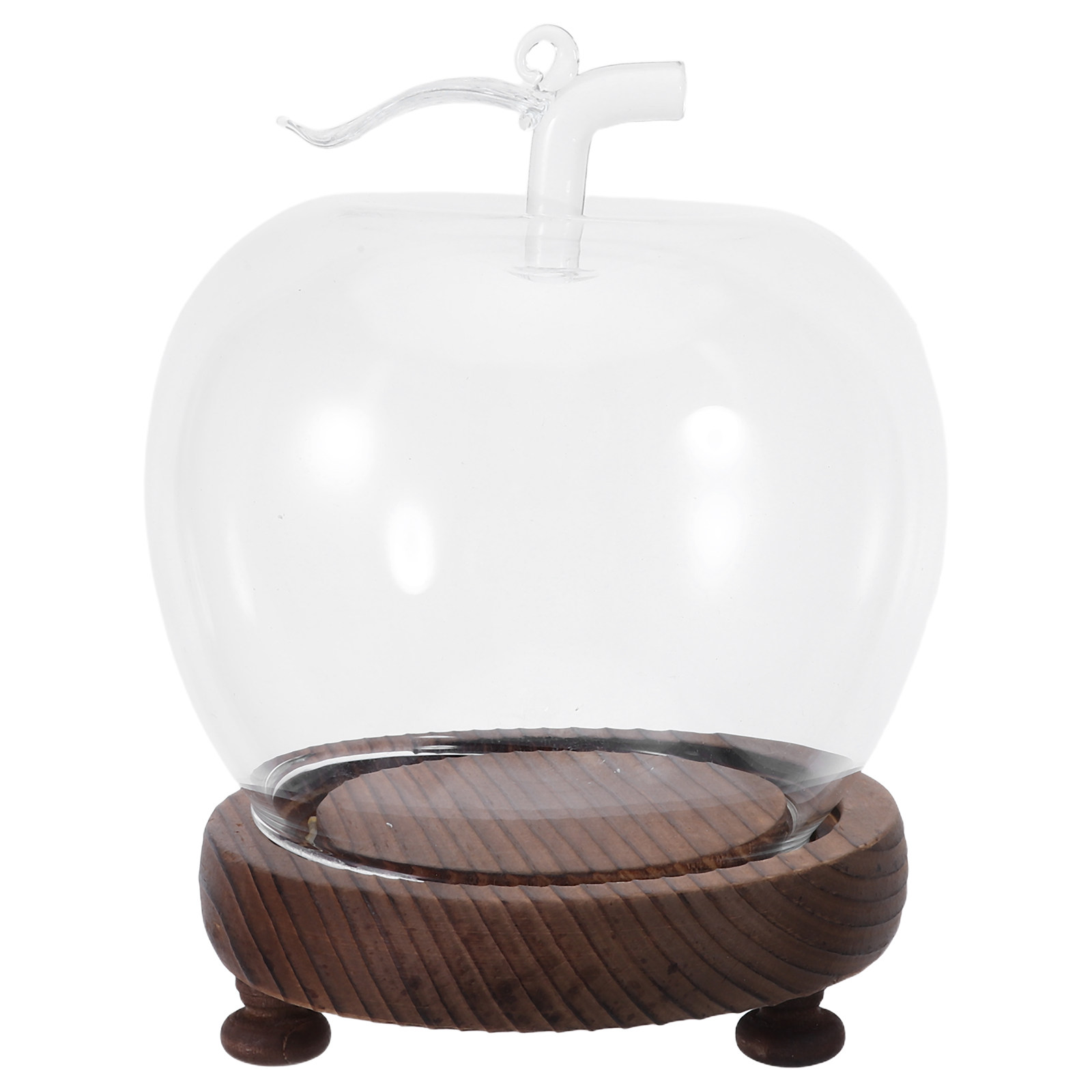 Decorative Glass Dome with Sol – Plastic Dome Clear recenzja i cena