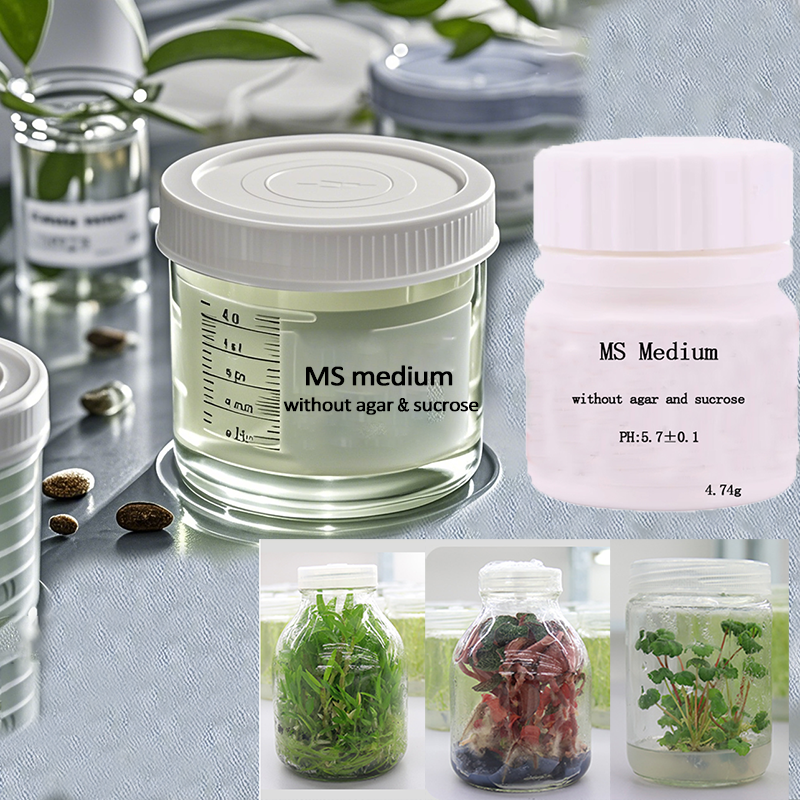 MS medium Without Agar Or Sucr – Agar Tissue Culture recenzja i cena