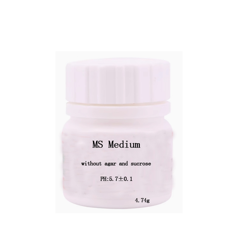MS medium Without Agar Or Sucr – Agar Tissue Culture recenzja i cena