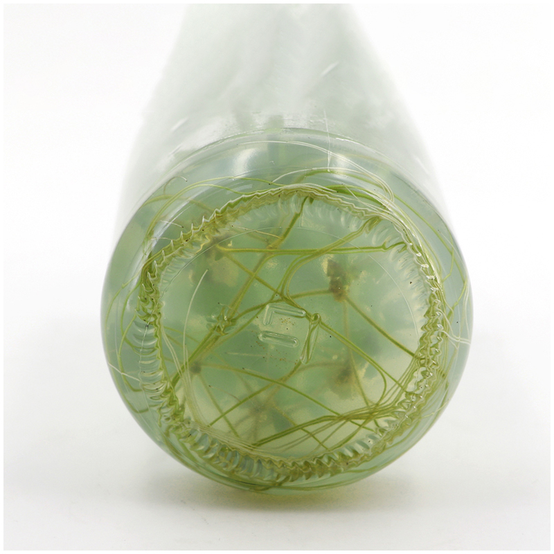 MS medium Without Agar Or Sucr – Agar Tissue Culture recenzja i cena