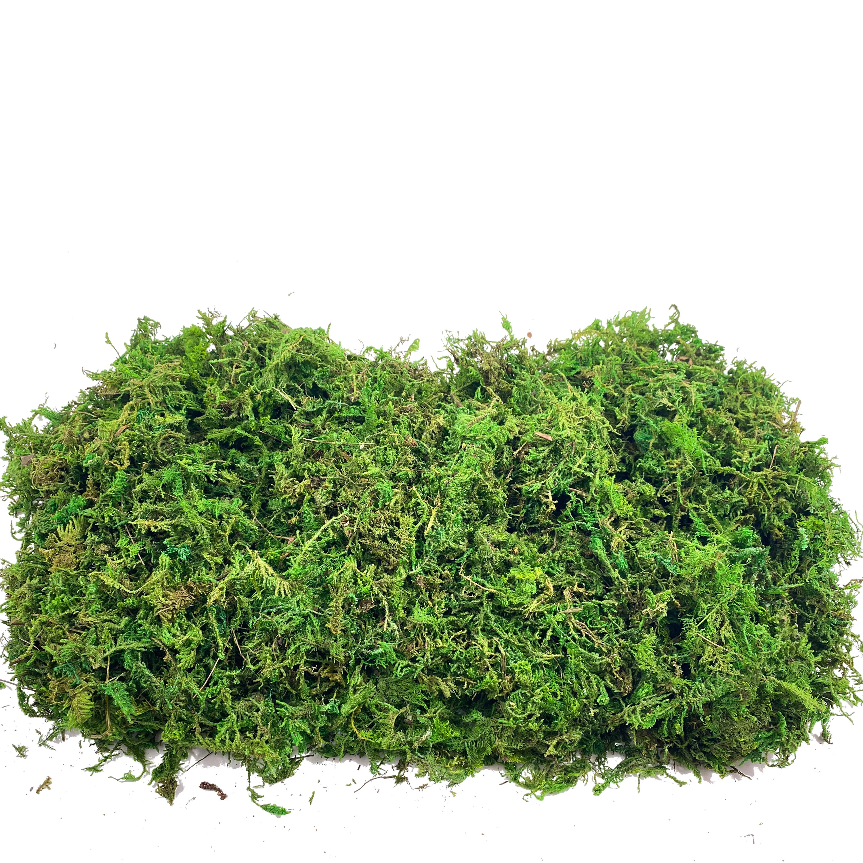 Fake Moss Artificial Moss for  – Sphagnum Moss Dry recenzja i cena