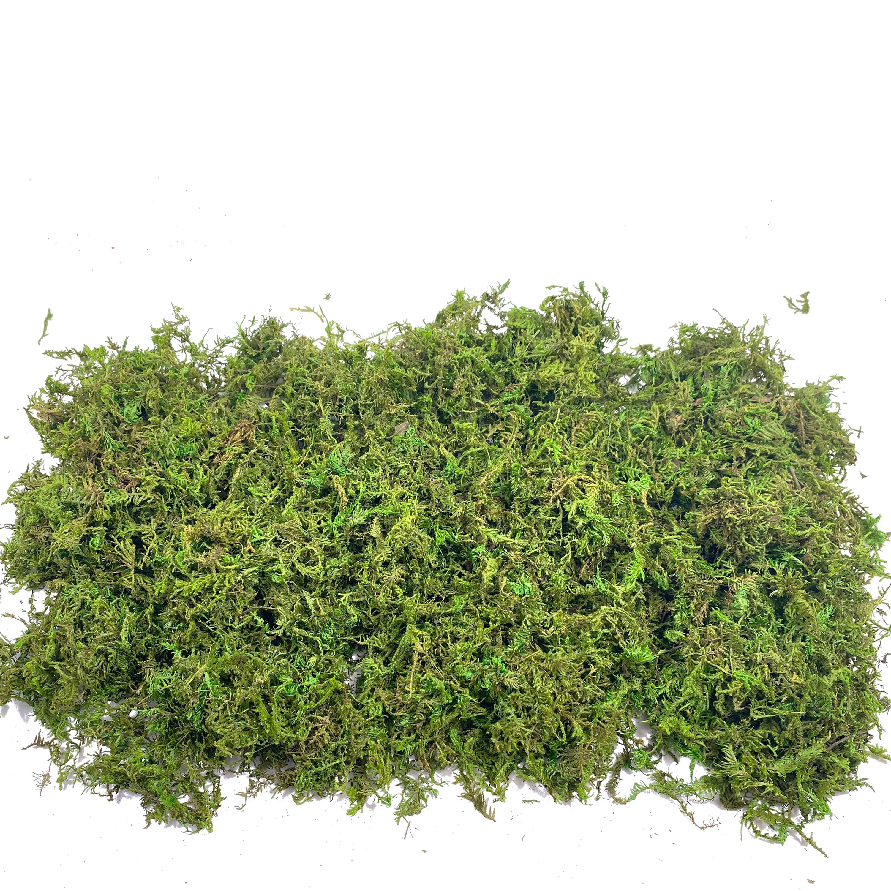 Fake Moss Artificial Moss for  – Sphagnum Moss Dry recenzja i cena