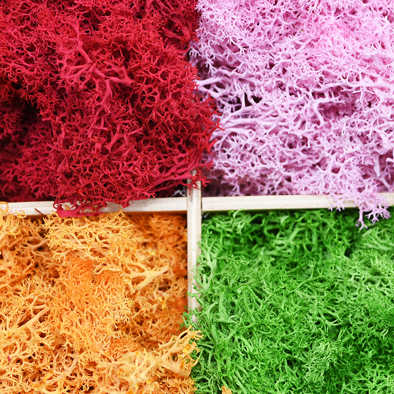 20/40g Artificial Green Plants – Sphagnum Moss Dry recenzja i cena