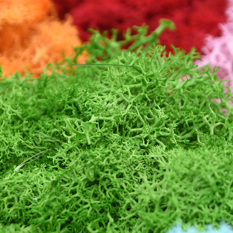 20/40g Artificial Green Plants – Sphagnum Moss Dry recenzja i cena