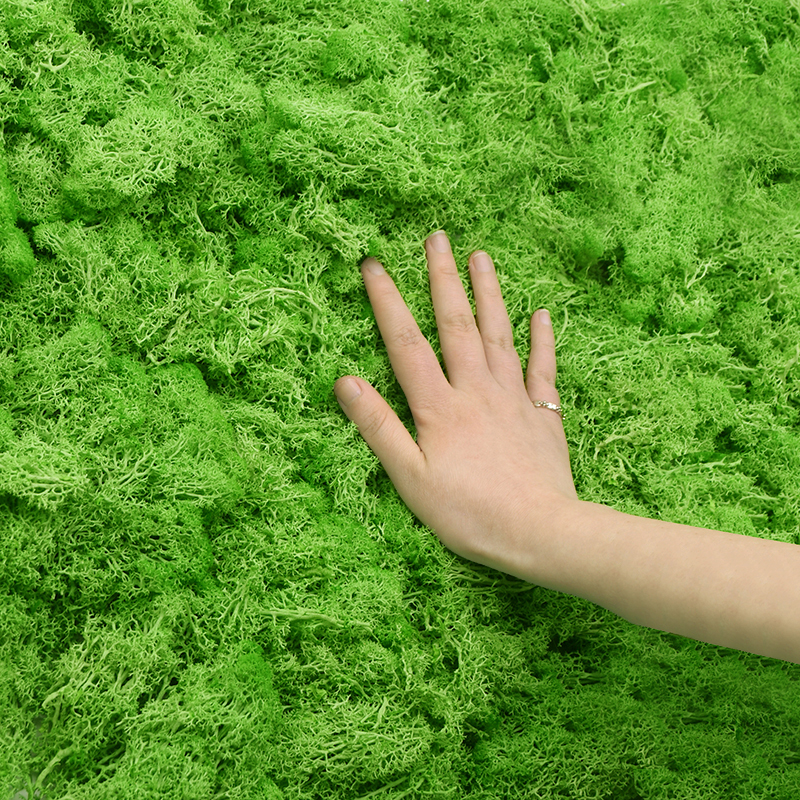 20/40g Artificial Green Plants – Sphagnum Moss Dry recenzja i cena