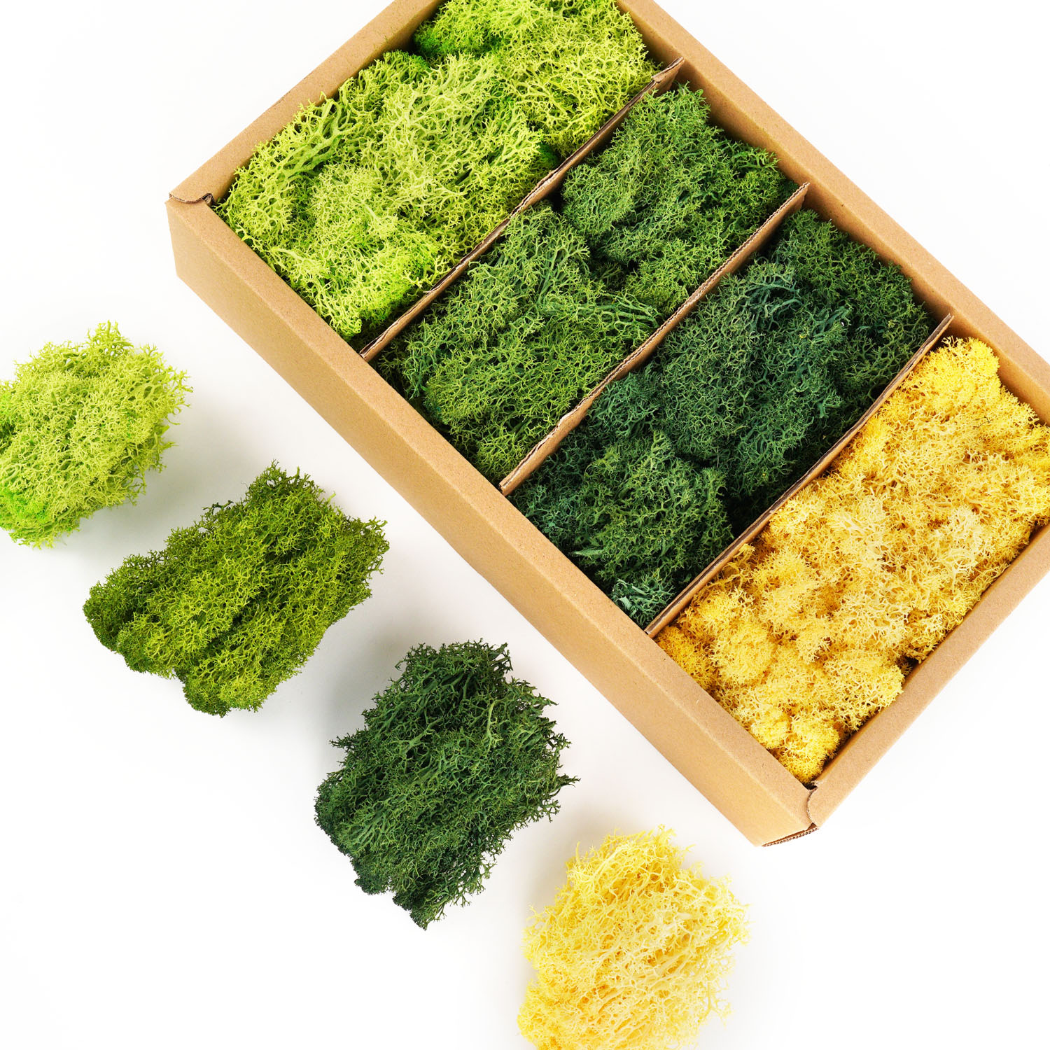 Artificial Green Plants Eterna – Sphagnum Moss Dry recenzja i cena