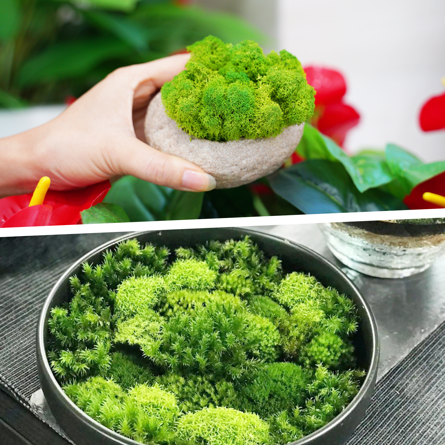 Artificial Green Plants Eterna – Sphagnum Moss Dry recenzja i cena