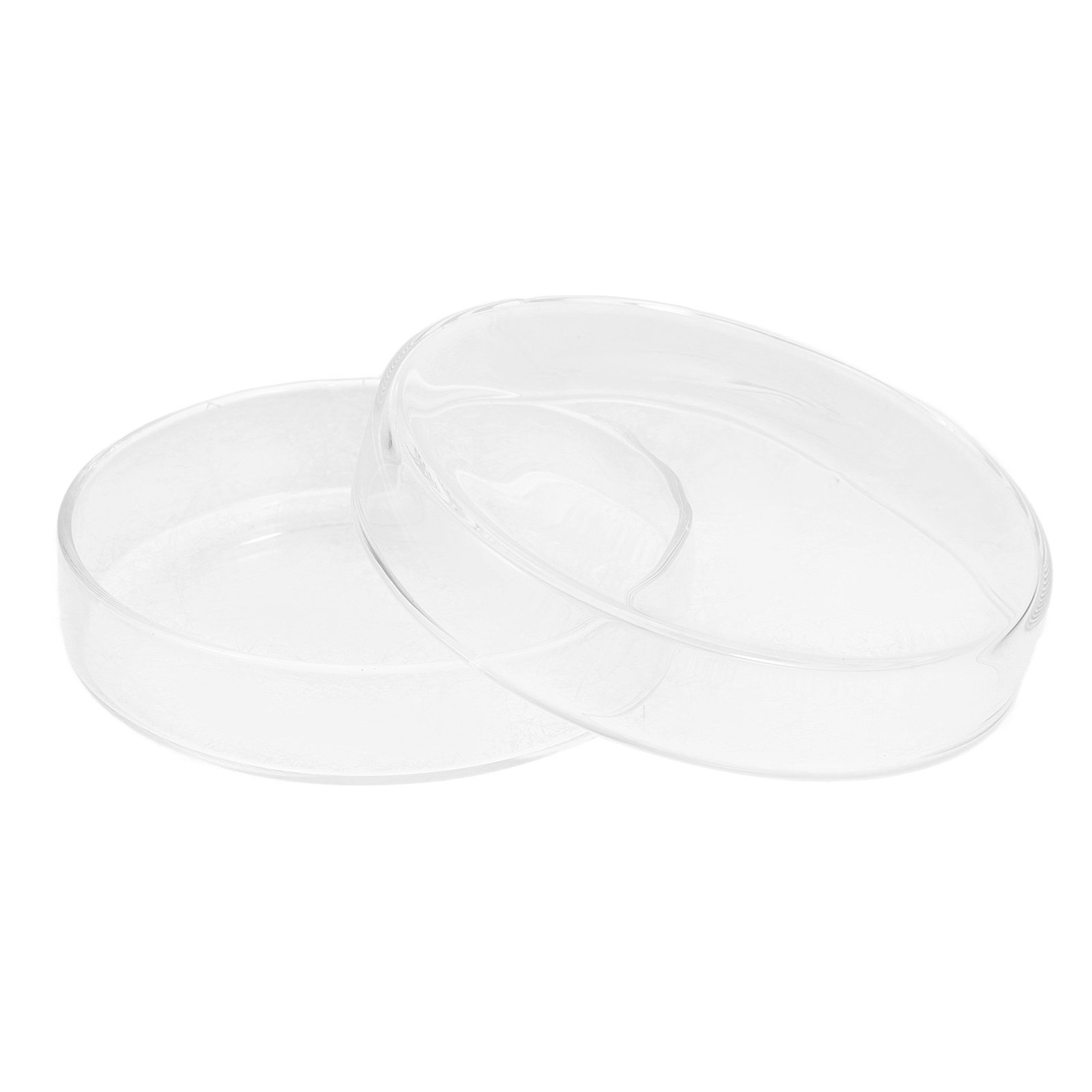 Glass Petri Dish High Borosili – Agar Tissue Culture recenzja i cena