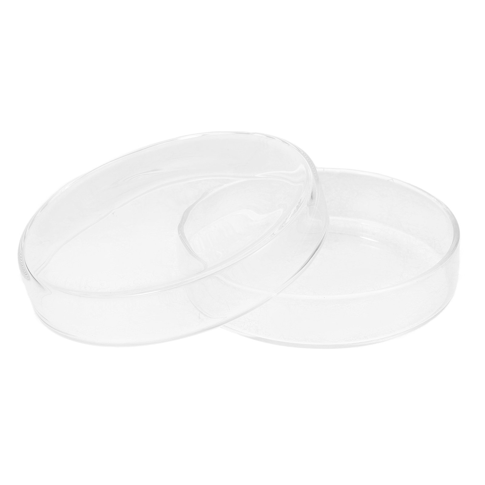 Glass Petri Dish High Borosili – Agar Tissue Culture recenzja i cena