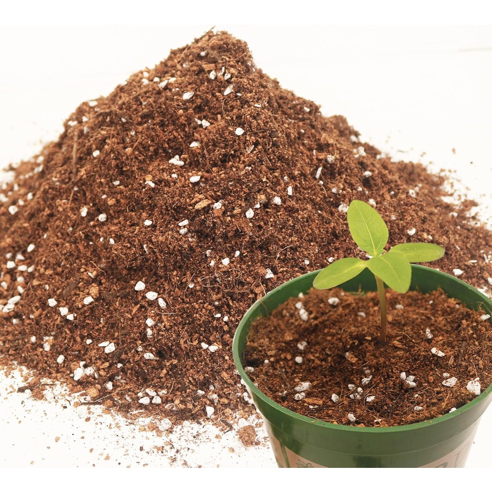 3QT Potting Soil Mix for Indoo – Coco Perlite Mix recenzja i cena