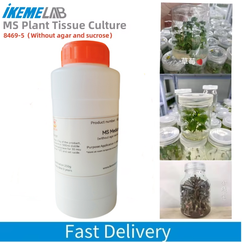 IKEME 250g Lab MS Medium Witho – Agar Tissue Culture recenzja i cena
