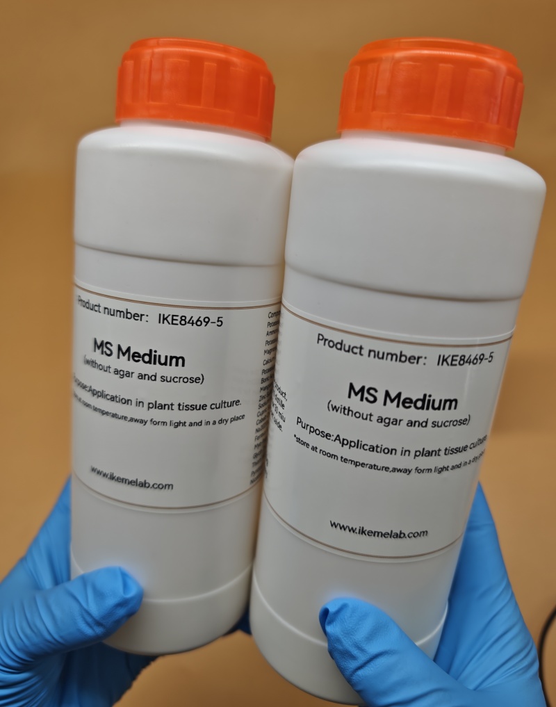 IKEME 250g Lab MS Medium Witho – Agar Tissue Culture recenzja i cena