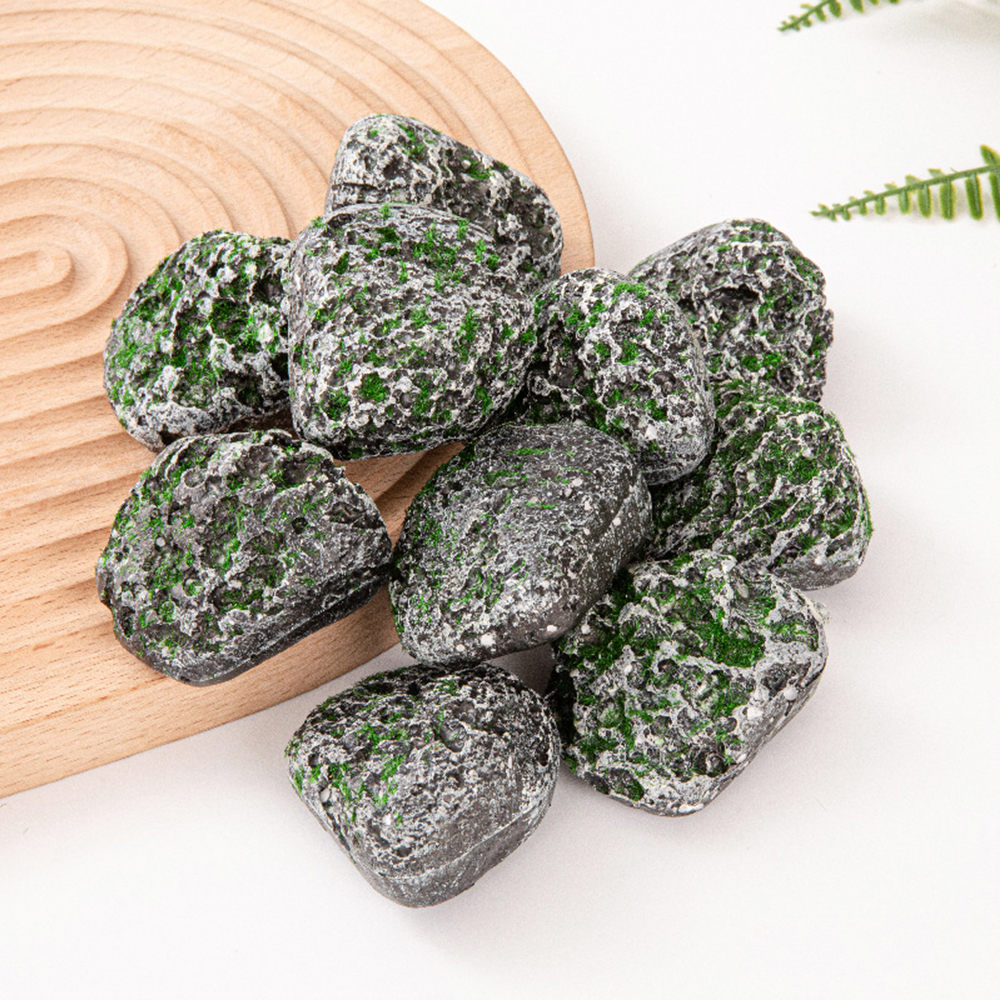 10PCS Mossy Gray Stone Multi-s – Sphagnum Moss Dry recenzja i cena