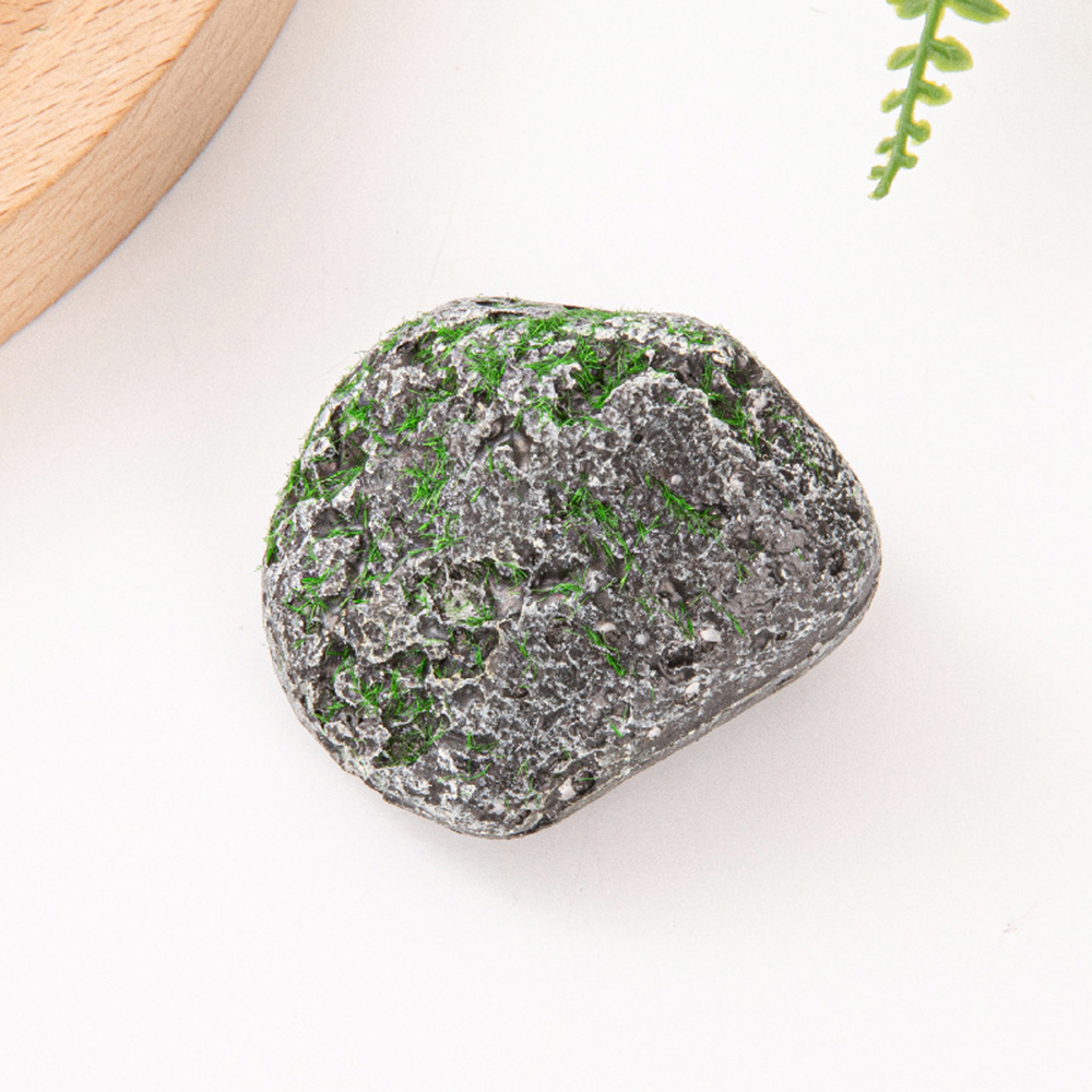 10PCS Mossy Gray Stone Multi-s – Sphagnum Moss Dry recenzja i cena