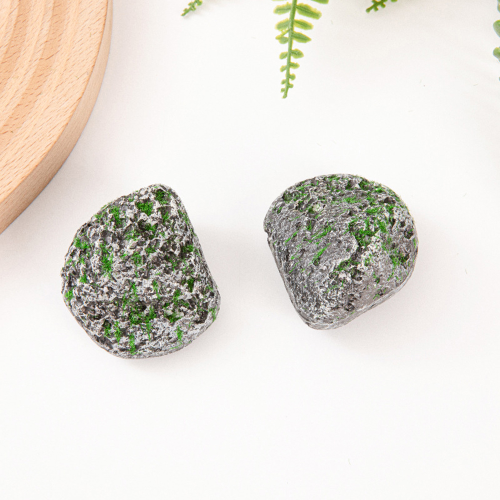 10PCS Mossy Gray Stone Multi-s – Sphagnum Moss Dry recenzja i cena