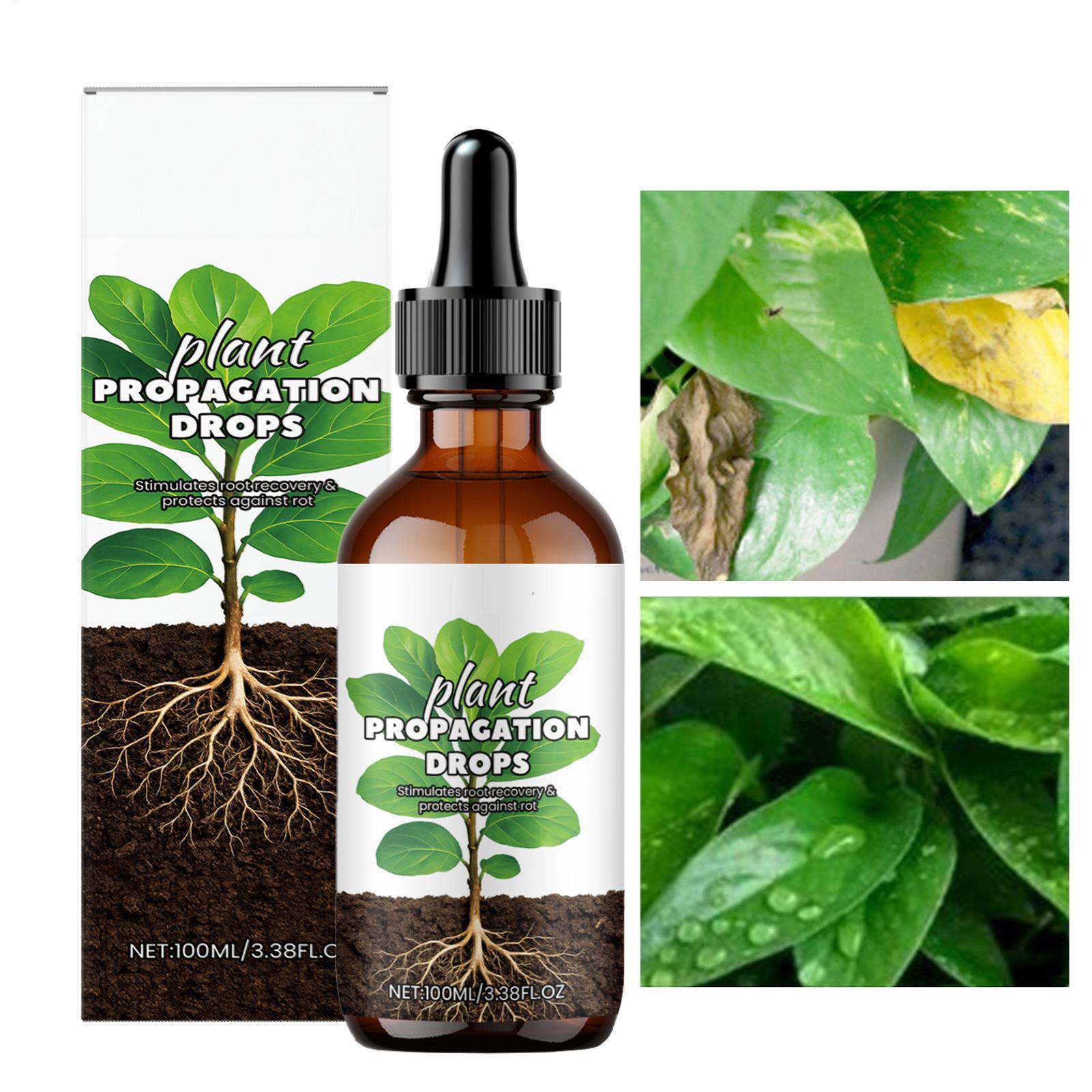 Root Booster 100ml Liquid Root – Root Stimulator Liquid recenzja i cena