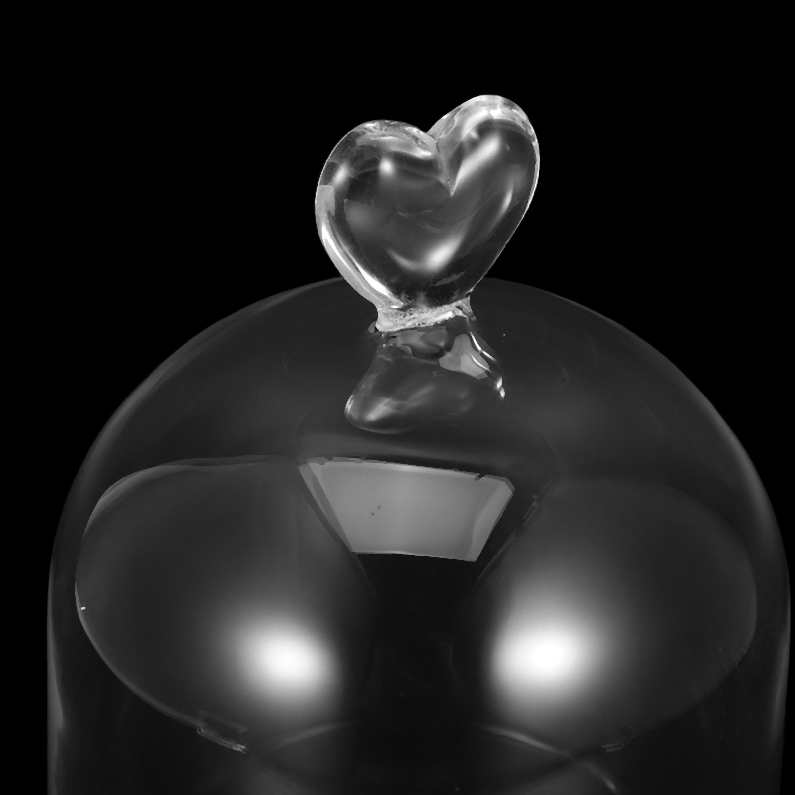 Glass Cloche 6.3x4 Transparent – Plastic Dome Clear recenzja i cena