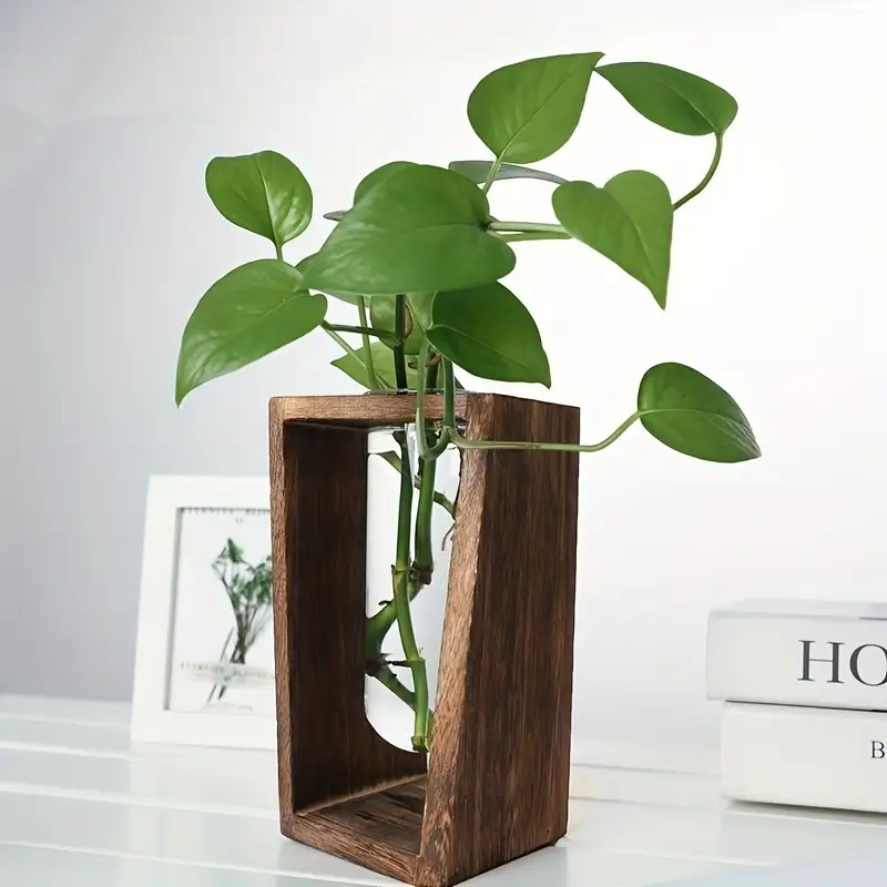 Modern Wood Propagation Vase - – Propagation Station Vase recenzja i cena