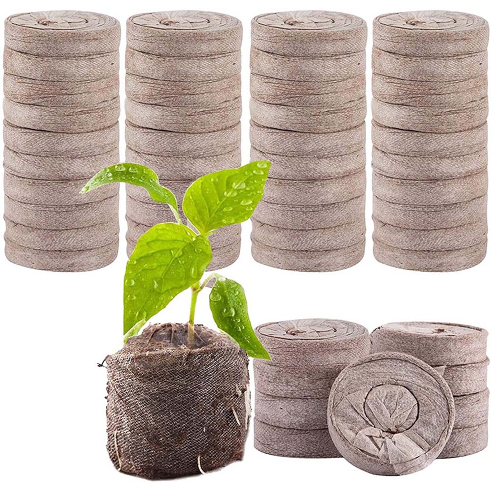 50/100 Pellet PacksSeedling Bl – Peat Pellet Tray recenzja i cena
