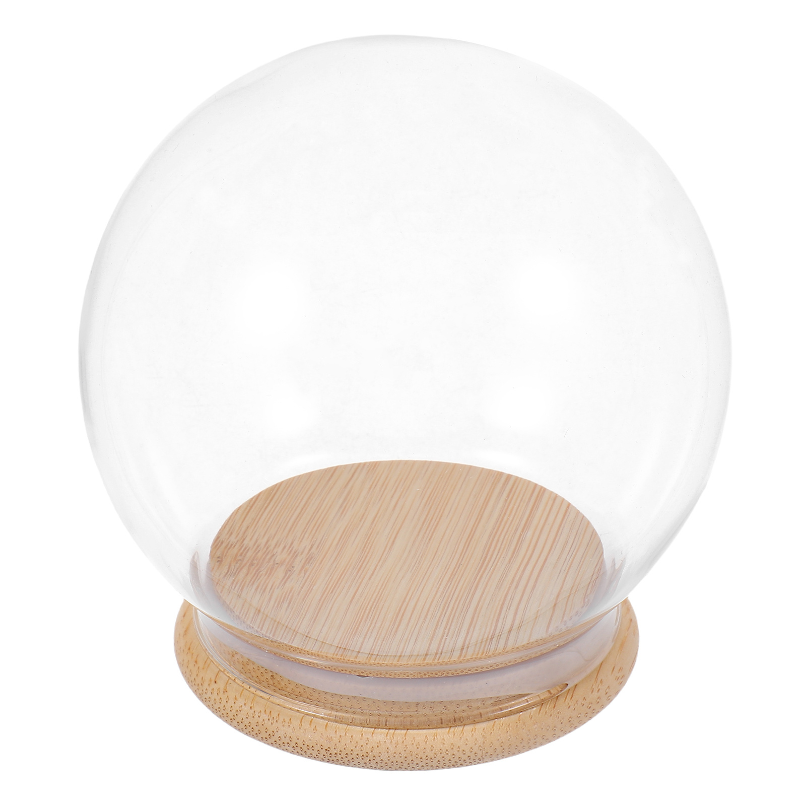 Glass Dome Eternal Flower Disp – Plastic Dome Clear recenzja i cena