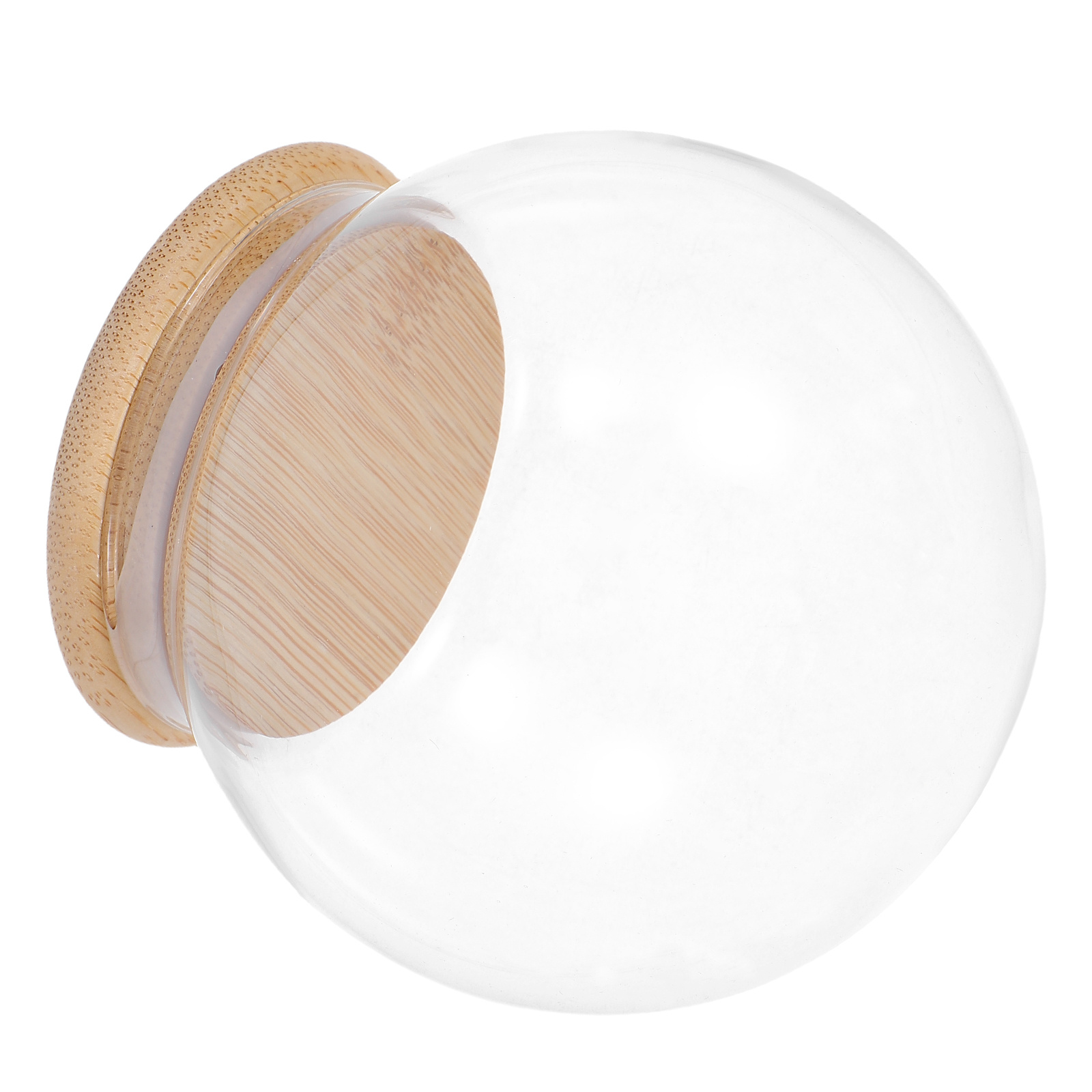 Glass Dome Eternal Flower Disp – Plastic Dome Clear recenzja i cena