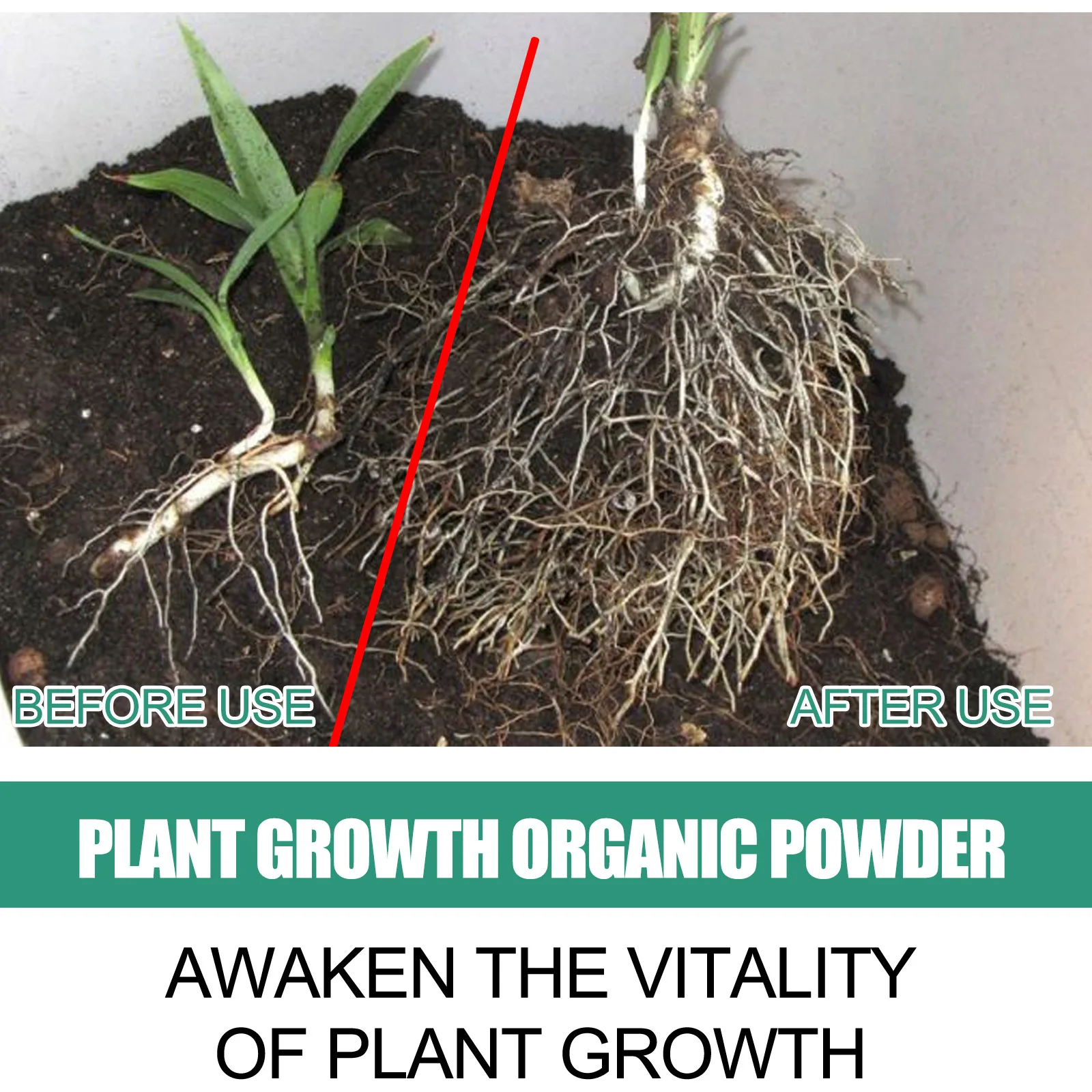 Fast Rooting Powder Plant Soil – Rooting Hormone Powder recenzja i cena