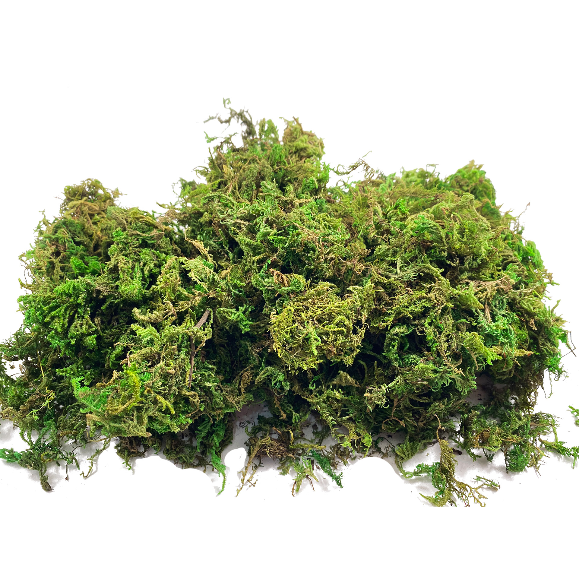 Artificial Fake Moss, Craft Mo – Sphagnum Moss Dry recenzja i cena