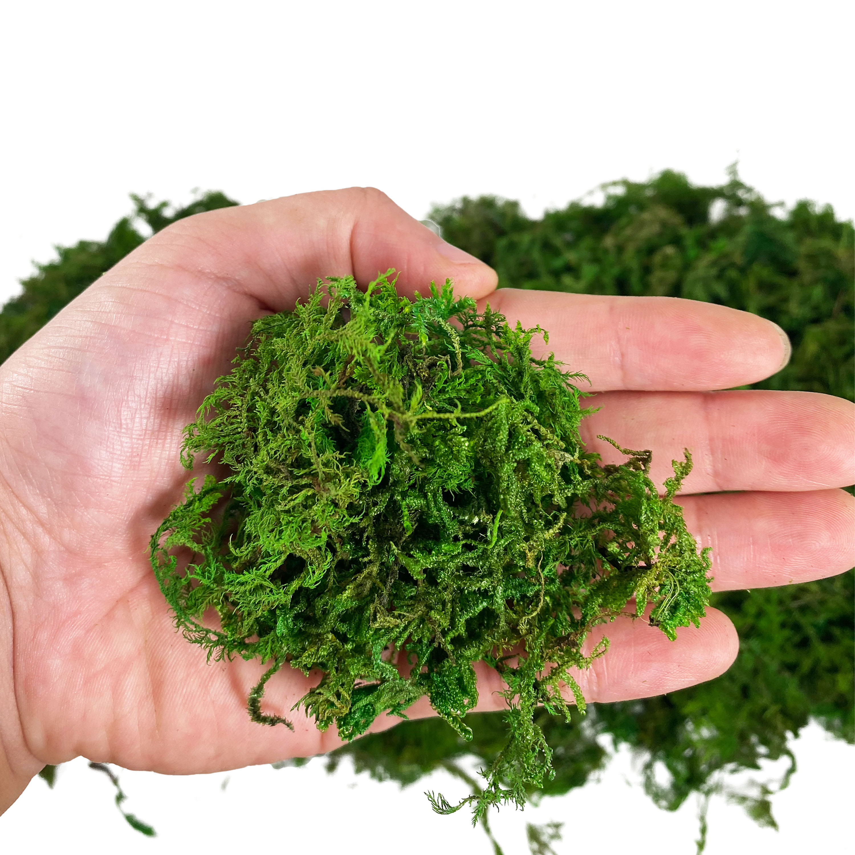 Artificial Fake Moss, Craft Mo – Sphagnum Moss Dry recenzja i cena