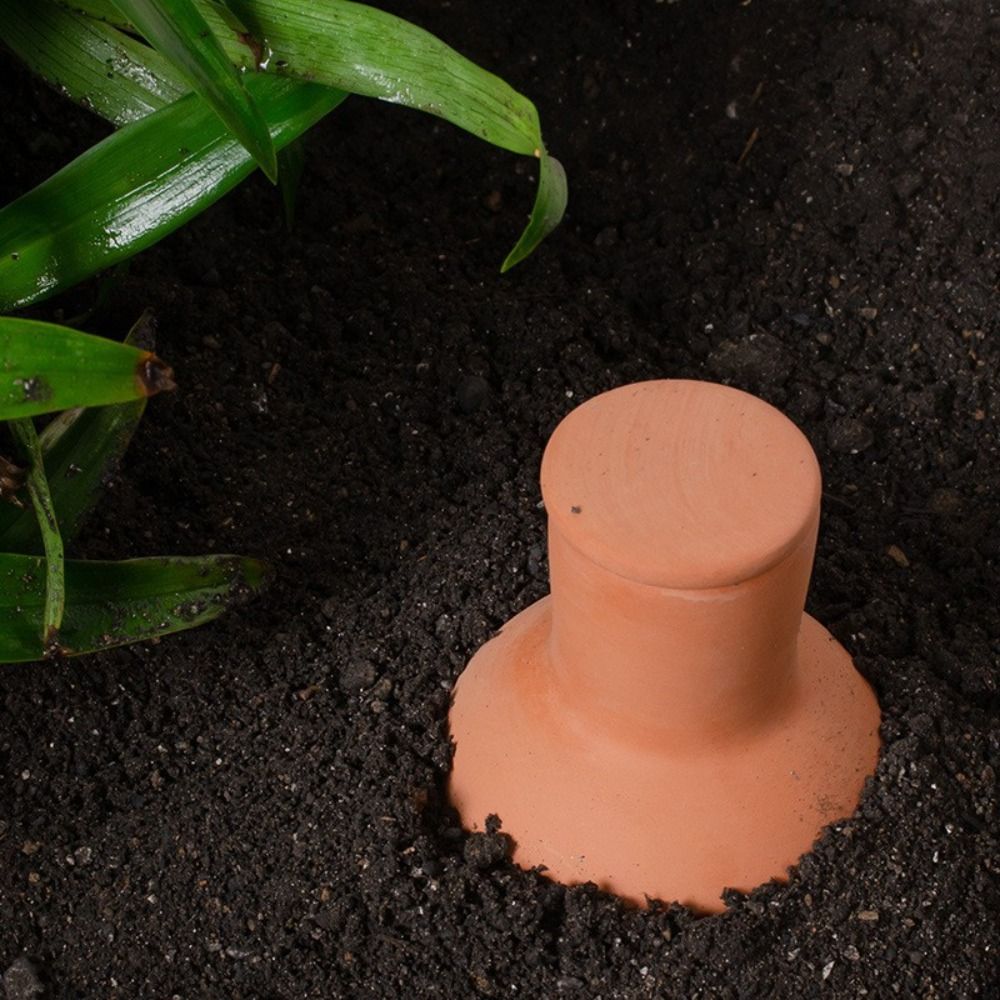 4Pcs Terracotta Material Autom – Self Watering Insert recenzja i cena