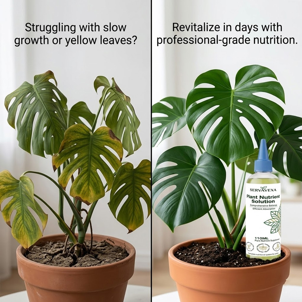 Plant  Nutrient Solution Rapid – Root Stimulator Liquid recenzja i cena