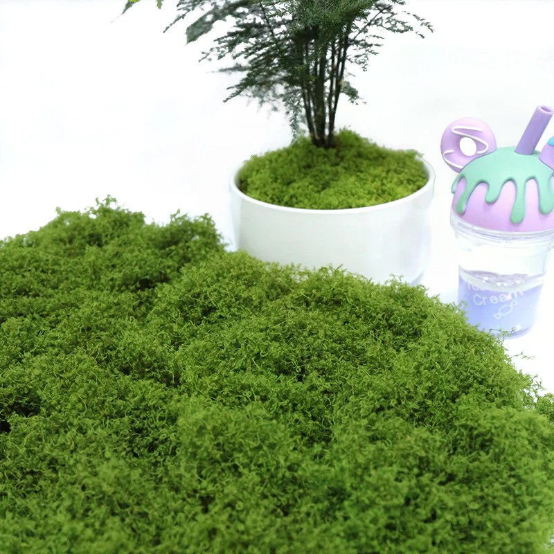 50g Fake Moss DIY Crafts Grass – Sphagnum Moss Dry recenzja i cena