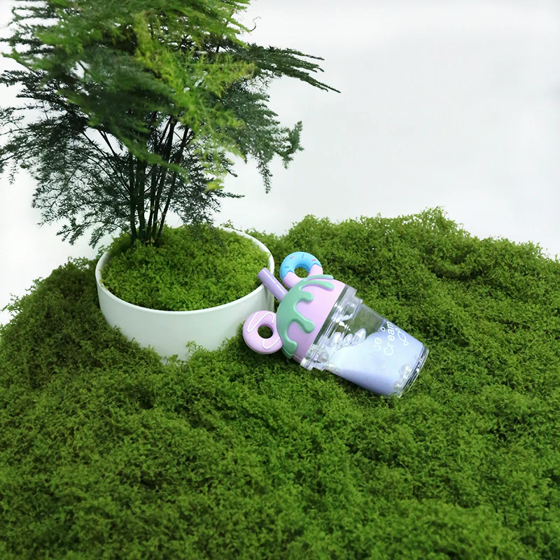 50g Fake Moss DIY Crafts Grass – Sphagnum Moss Dry recenzja i cena