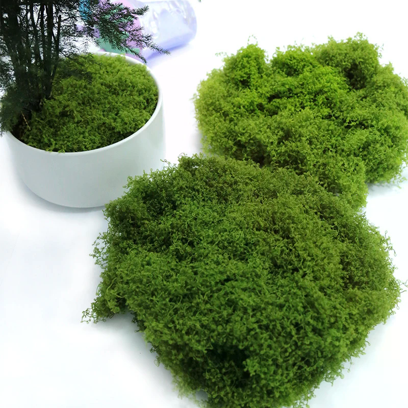 50g Fake Moss DIY Crafts Grass – Sphagnum Moss Dry recenzja i cena