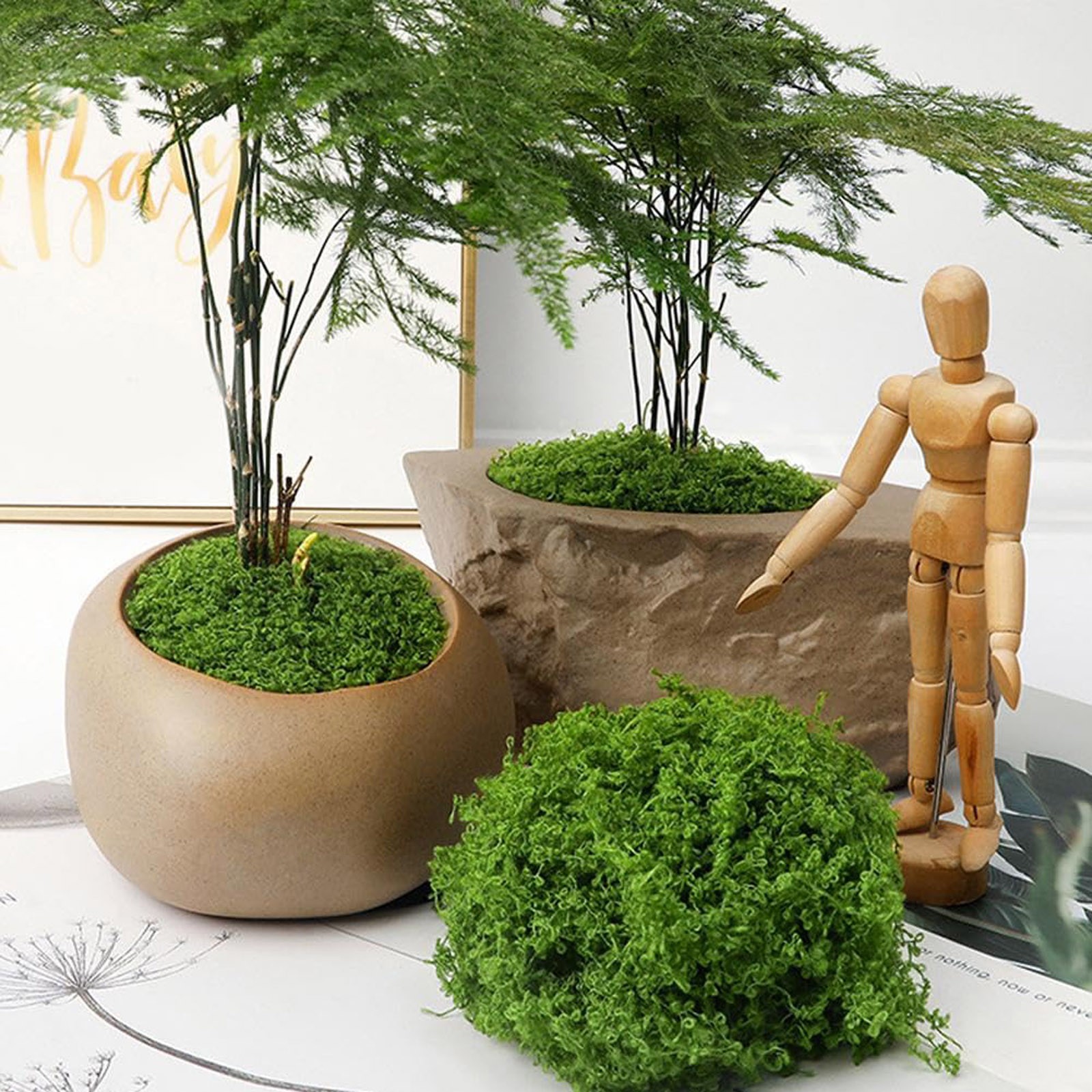 50/200g Artificial Moss For De – Sphagnum Moss Dry recenzja i cena