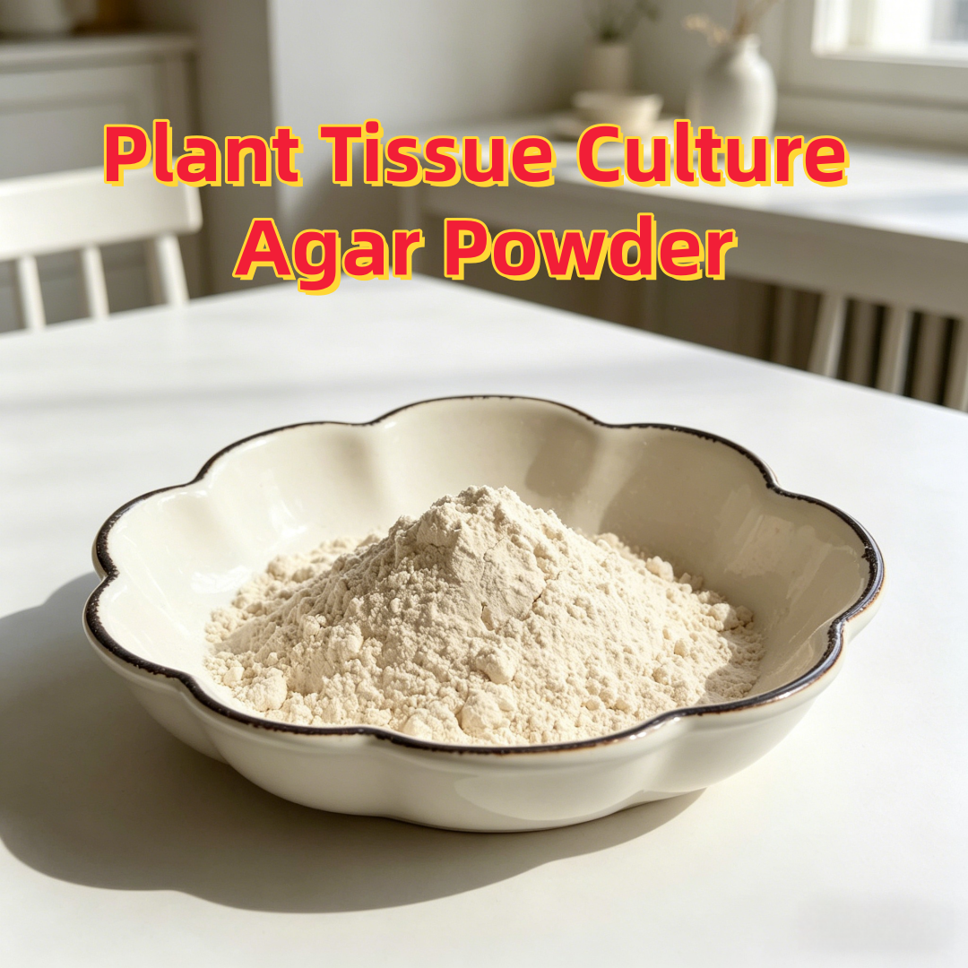 High Gel Strength Plant Tissue – Agar Tissue Culture recenzja i cena