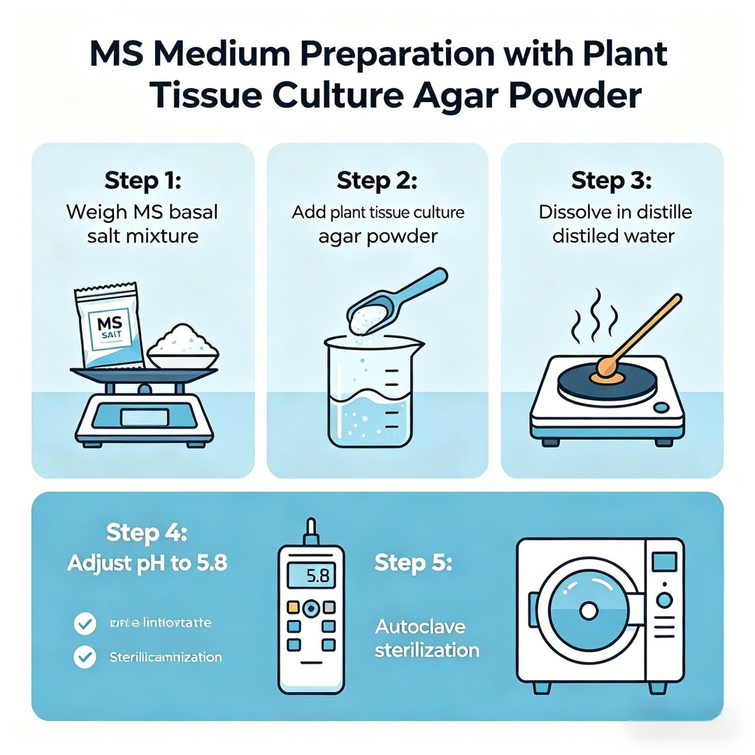 High Gel Strength Plant Tissue – Agar Tissue Culture recenzja i cena