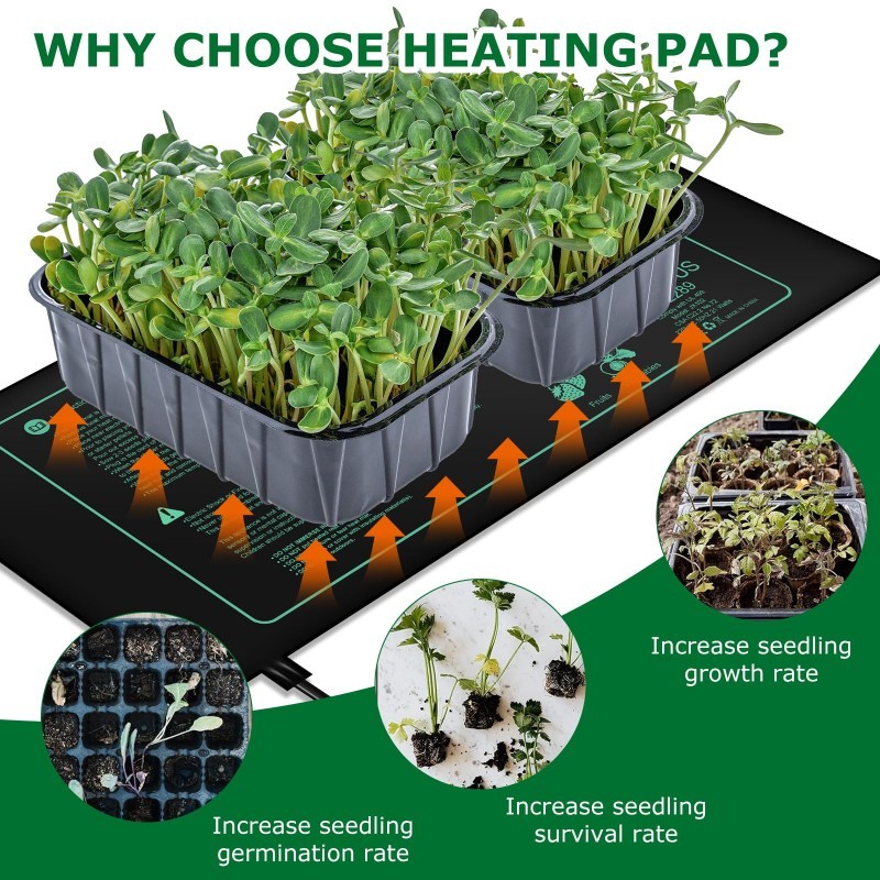 Seedling Heating Mat  Indoor P – Rooting Gel Clone recenzja i cena