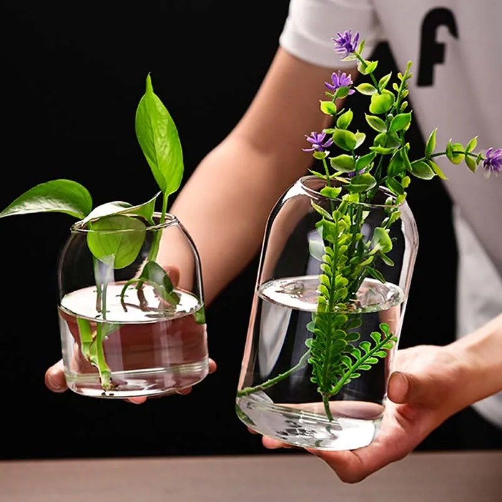 Creative Hydroponic Plant Glas – Propagation Station Vase recenzja i cena
