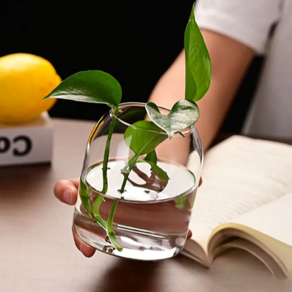 Creative Hydroponic Plant Glas – Propagation Station Vase recenzja i cena