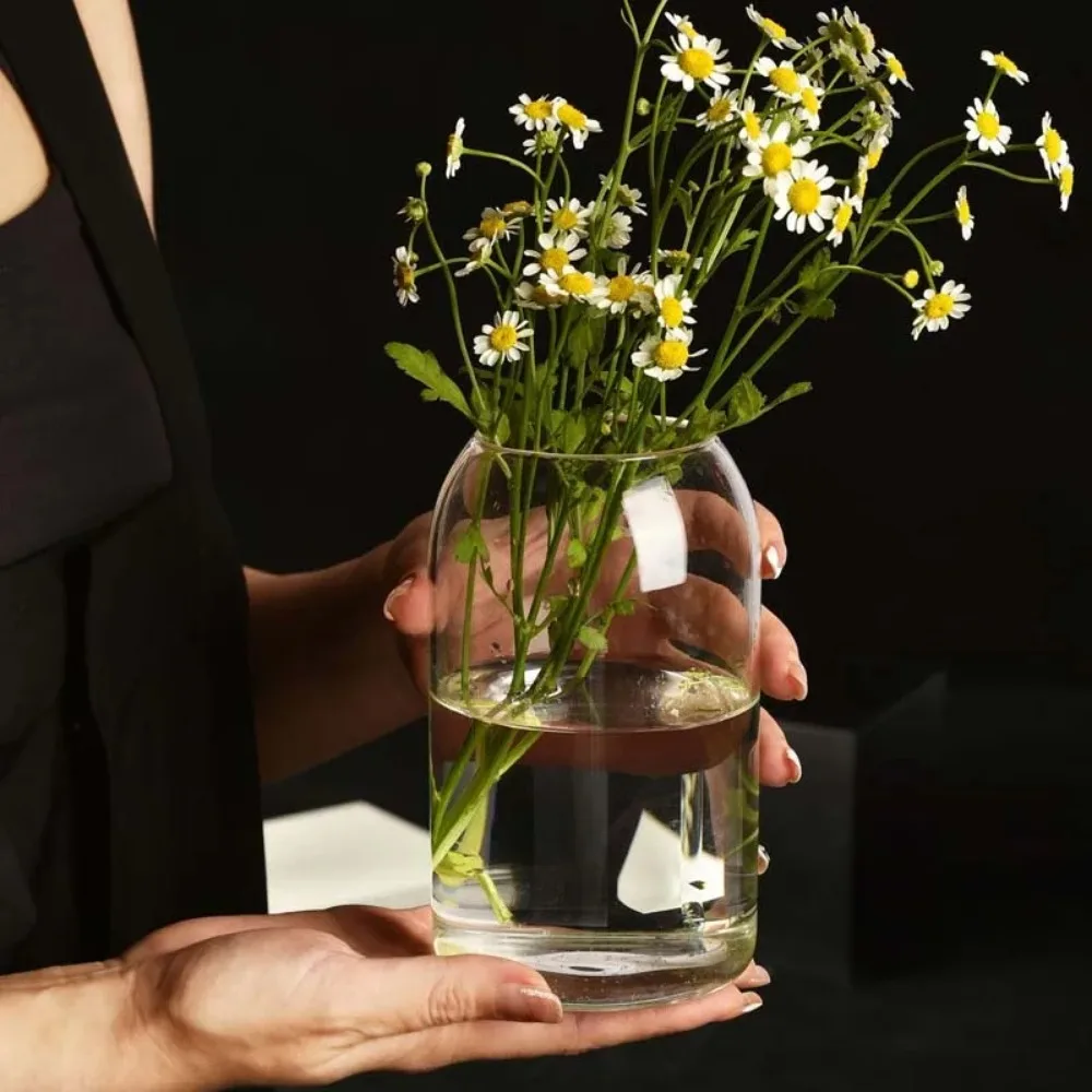 Creative Hydroponic Plant Glas – Propagation Station Vase recenzja i cena