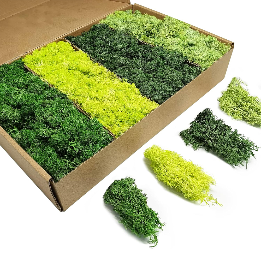 Artificial Green Plants Eterna – Sphagnum Moss Dry recenzja i cena