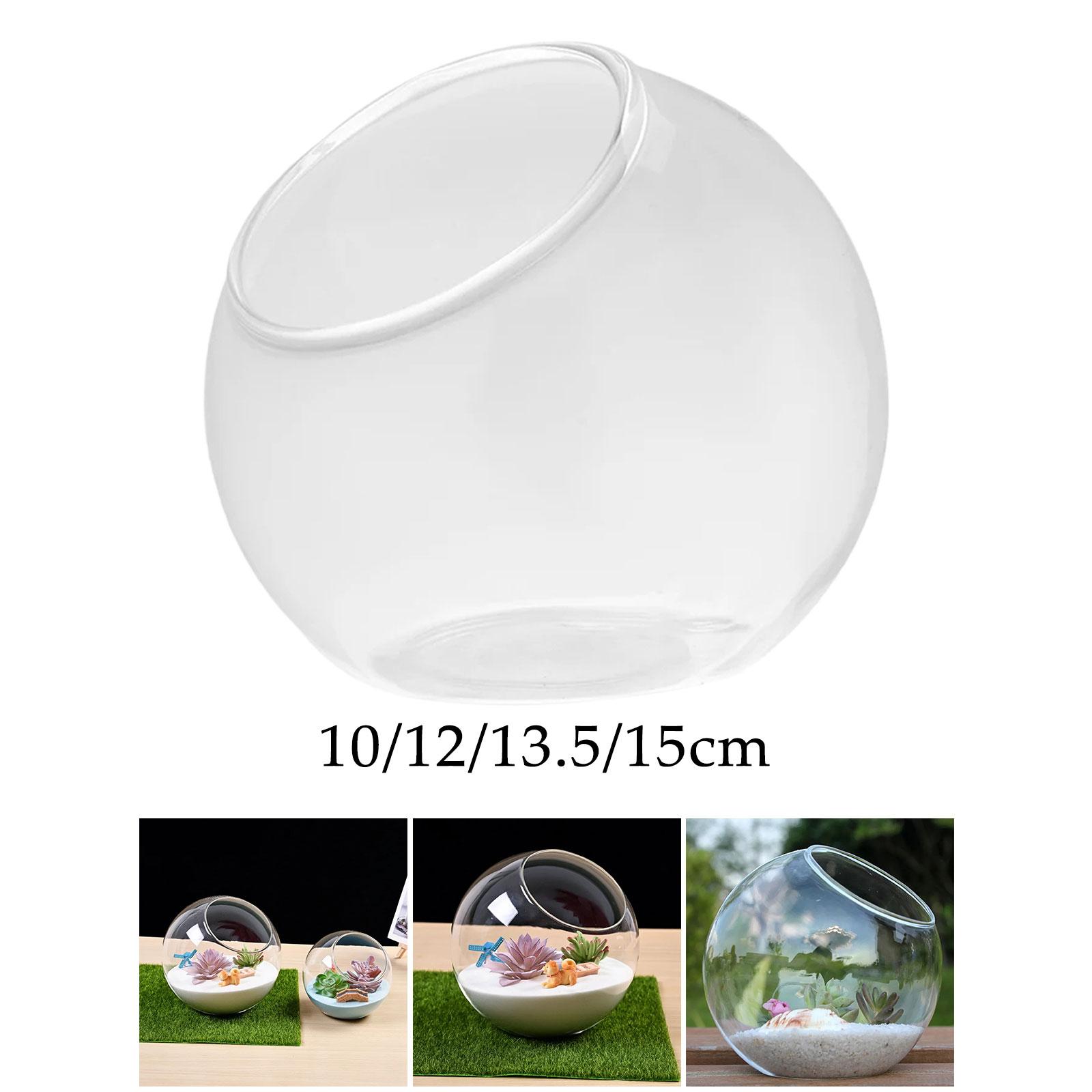 Terrarium Glass Vase Unique Ce – Propagation Station Vase recenzja i cena