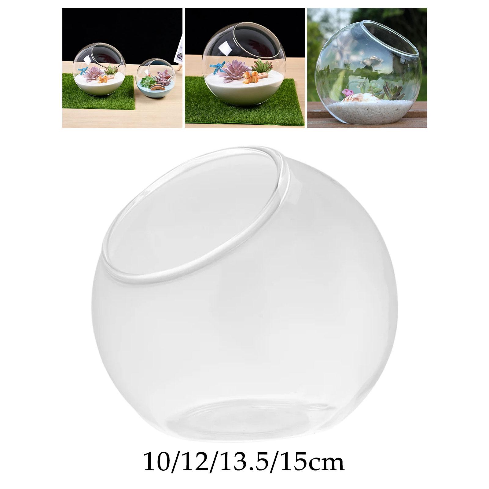 Terrarium Glass Vase Unique Ce – Propagation Station Vase recenzja i cena