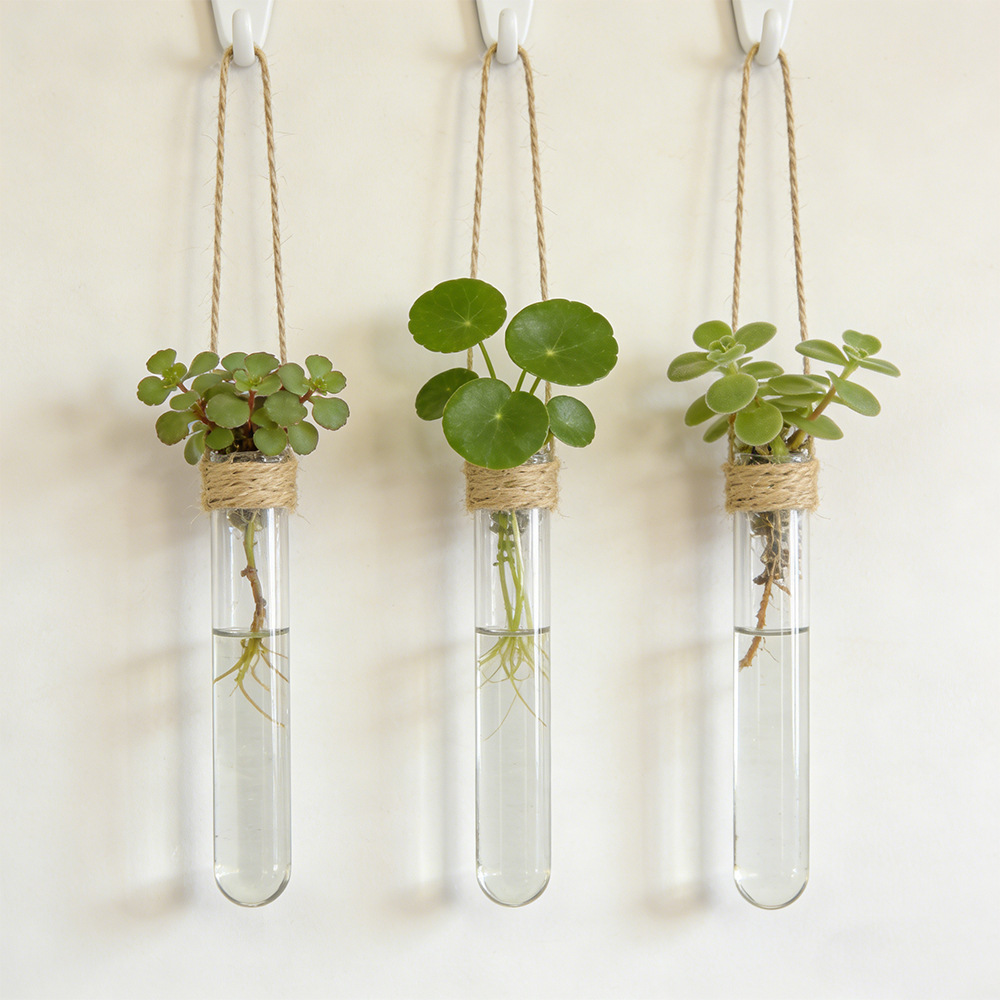 Hydroponic Flower Vase Wall-Mo – Propagation Station Vase recenzja i cena