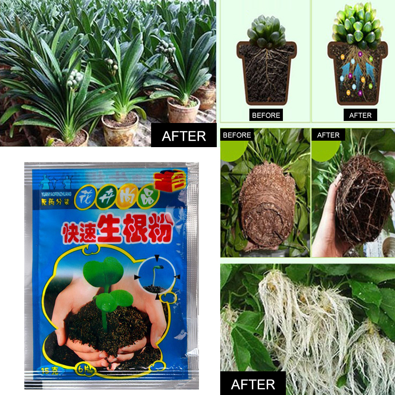 5pcs Fast Rooting Powder Plant – Rooting Hormone Powder recenzja i cena
