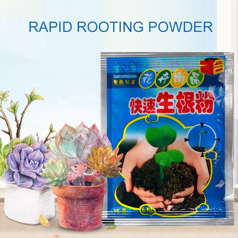 5pcs Fast Rooting Powder Plant – Rooting Hormone Powder recenzja i cena